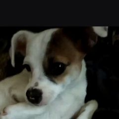 ����: ������� ������  ��������� (������������� ���.) ������� ������...� � �. �������� (������������� ���.)