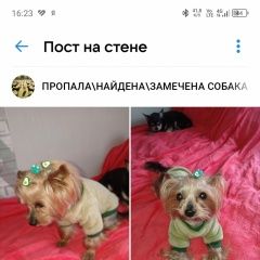 ����: None ����������� ������ �������� �������� ����� ������� ������.� � �. �������