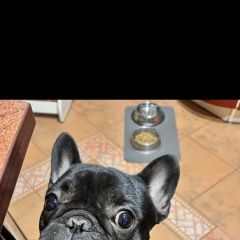 ����: ������� ������ ����������� ������� �������� ������� ������ ������ ����� ������ � �. �������