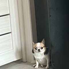 ����: ������� ������ �������� ����������� ������� ������ ����, ����� ��� � �. ����������