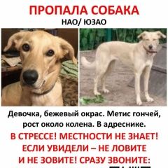 ����: ������� ������ ������ �������� ������ ������ � �. ������