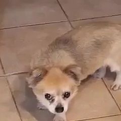 ����: ������� ������ �������� ������� ������� ������ ���������� �������� � �. ������