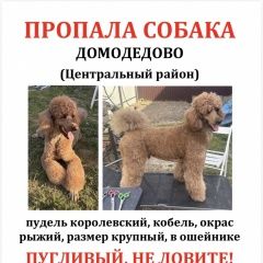 ����: ������� ������ ������ ����������� ������� ������ ������� ������.� � �. ����������