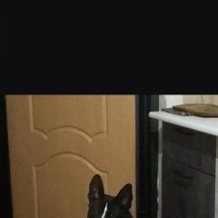����: ������� ������  ����� ������� ������ ������ ����� ������ ������...� � �. ����