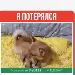 ����: ������� ������  �������� ������ ������ ����� � �. �����