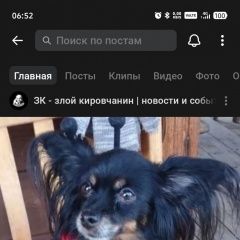 ����: ������� ������ ������� ���-������ �������� ������ ���� ����� ����� (��������� ���.)� � �. ����� (��������� ���.)