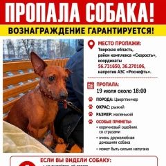 ����: ������� ������ ����������� (���������� ������) �������� ������ ������ � �. �����