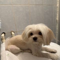 ����: ������� ������ ����������� ������� ����������� ������� ������ � �. ����������