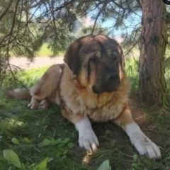 ����: ������� ������  �������������� ������� ������ ������� � �. �������������