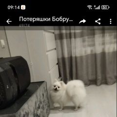 ����: ������� ������ �������� ���� �������� ������ ������ ����� ���� �������� � �. ��������