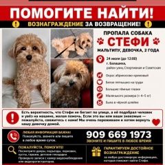 ����: ������� ������ ����������� ������� �������� ������ �������� �������� � �. ��������
