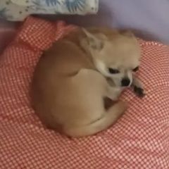 ����: ������� ������  �������� ������ ������ ��������� � �. ���������