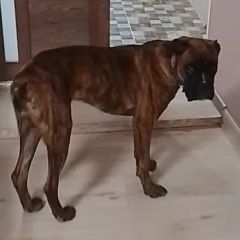 ����: ������� ������ ������ ������� ������� ������ ������� � �. ������