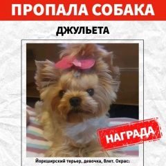 ����: ������� ������ ����������� ������ �������� ������ ���������� �����-��������� � �. �����-���������