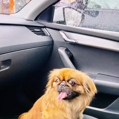 ����: ������� ������ ������� ���������� ������� ������ �������������� � �. ���������