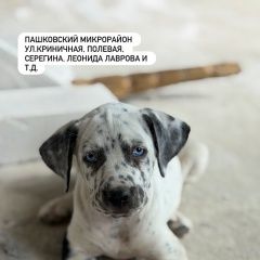 ����: ������� ������  �������� ������ ����� ����� ����� � �������...� � �. ���������