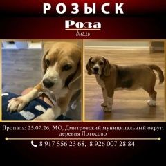����: ������� ������ ����� �������� ������� ������ ������ ���� ������ ������ � �. �������