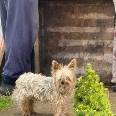 ����: ������� ������ ����������� ������ �������� ������ ������ ������� � �. �������