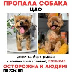 ����: ������� ������ ����������� ������ ������� ������� ������ ����� ������������� � �. ������