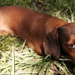 ����: ������� ������ ����� �������� ������ ������� ������ ����� ����� 5���...� � �. ������� ������