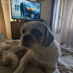 ����: ������� ������ ��-��� �������� ������� ������ ������� � �. �������
