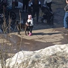 ����: ������� ������  ���� ������� ������ ������ ������ ����, ����...� � �. ���