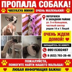����: ������� ������  �������-��-���� ������� ������ ������ �����...� � �. ������-��-����