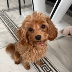 ����: ������� ������ ������ �������� ������ � ������ ���� ������� ��� ������...� � �. ����