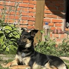 ����: ������� ������  �������� ������ ������ ������� � �. ������