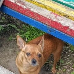 ����: ������� ������ ���-������ �������� ������ ���� ������ �������� � �. ��������