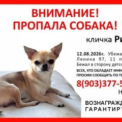 ����: ������� ������ �������� �������� ������ ������ ��� ��������...� � �. �������� (������������� ���.)