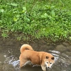 ����: ������� ������  �������� ������ ���� ��� ������ � �. ������