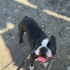 ����: ������� ������ ������ ������ ���������� ������� ������ ������ ������ � �����...� � �. ���������