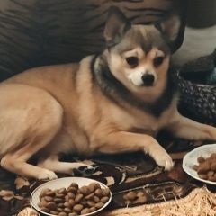 ����: ������� ������ �������� ��������� ������� ������ ������ ������ �...� � �. ��������