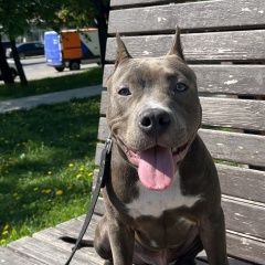 ����: ������� ������ ������������ ��������������� ������ �������� ������ ������ ������������� ������...� � �. ��������