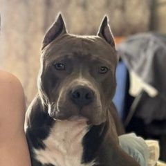 ����: ������� ������ ������������ ��������������� ������ ������� ������� ������ ������ ������ ������ � �. ������