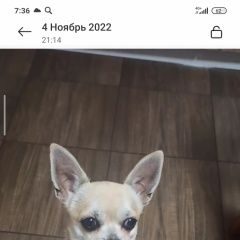 ����: ������� ������ �������� ���������� ������� ������ ������ ��������,...� � �. ���������