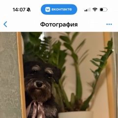 ����: ������� ������  ������-��������� ������� ������ � �. �����-���������