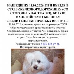 ����: ������� ������ ����������� ������� �������� ������ ������ ����� � �. ������ �����
