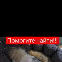 ����: ������� ������ ����������� ���� �������� ������ ��������� � �. ���������