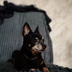 ����: ������� ������  ������� ������� ������ ���������� ������ ��...� � �. ������