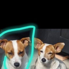 ����: ������� ������ ���� ������ ������ �������� ������ ������ ���� ������, �� ������...� � �. ���������