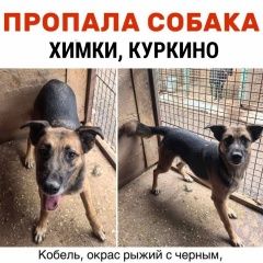 ����: ������� ������  �������� ������ ������ ����� � �. �����
