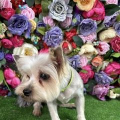 ����: ������� ������ ����������� ������ �������� ������ ������ ������� ������� ��� � �. ���