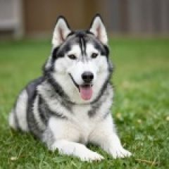 ����: ������� ������ ��������� ����� �������� ������� ������ ���� � �. �������