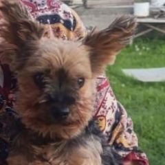 ����: ������� ������ ����������� ������ �������� ������ ������ �������� ����� ����� ������ � �. ������