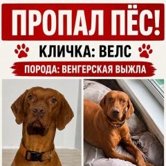 ����: ������� ������ ���������� ����� �������� ������ ������ ������������� � �. �������������