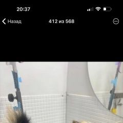 ����: ������� ������ ����������� ������ �������� ������ ������ ��������� � �. ���������
