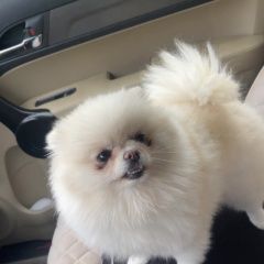 ����: ������� ������ ����������� ���� ����������� ������� ������ � �. ����������
