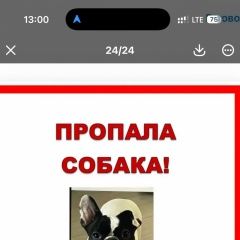 ����: ������� ������ ����������� ������� �������� ������ ����������� �������. �������....� � �. ������